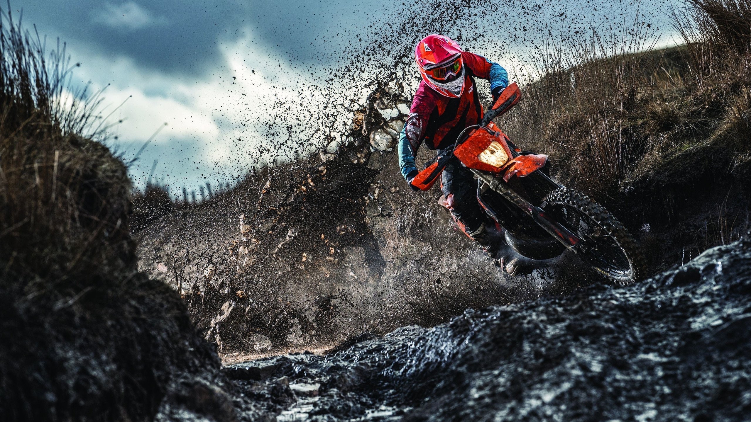 洛杉矶湖人常规赛惊险密尔沃基雄鹿，奥斯梅恩砍下10记关键球，全场沸腾